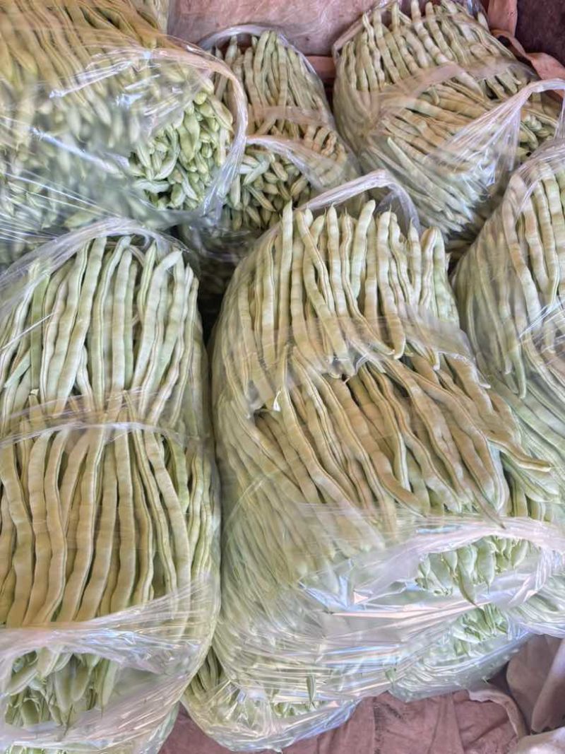 大白豆