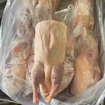 白条鸭单只4斤左右7吨