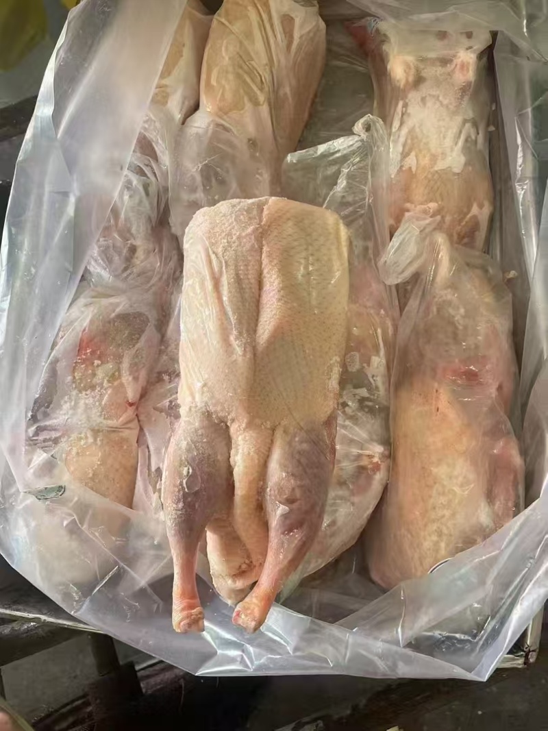 白条鸭单只4斤左右7吨