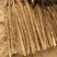 山药大量上市货源充足
