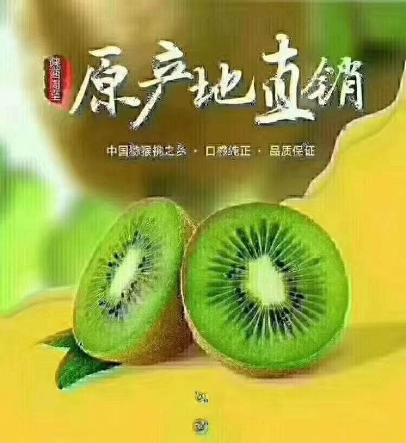 周至猕猴桃