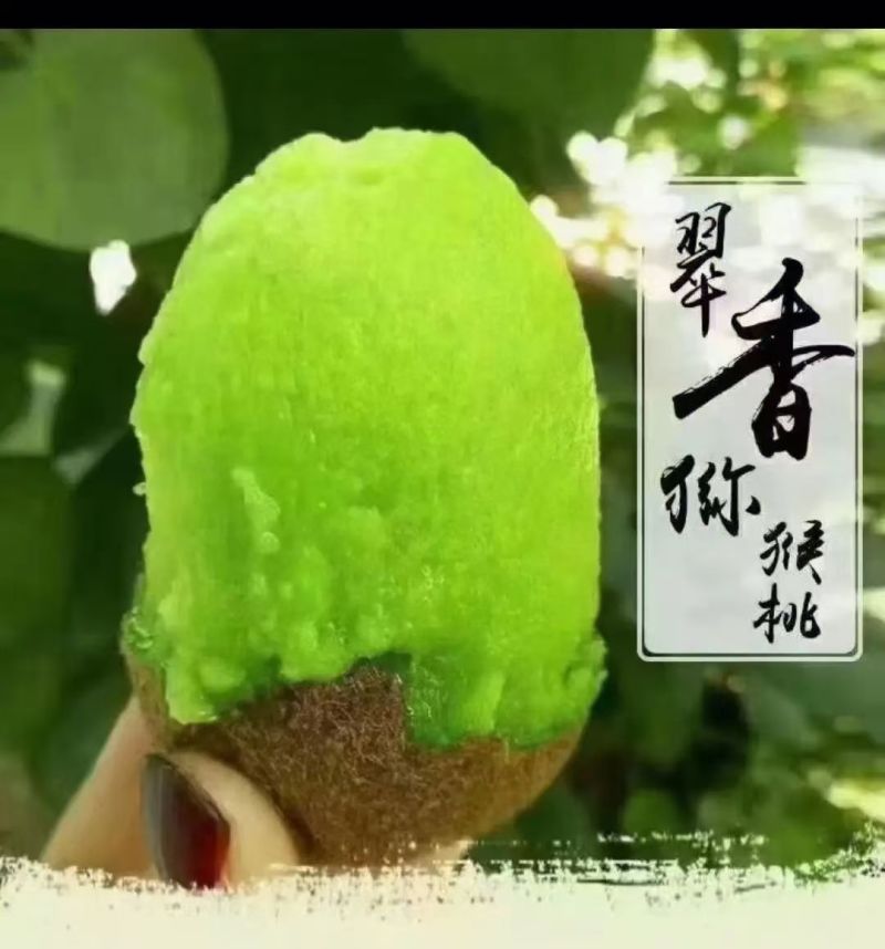 周至猕猴桃