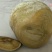 狗宝
