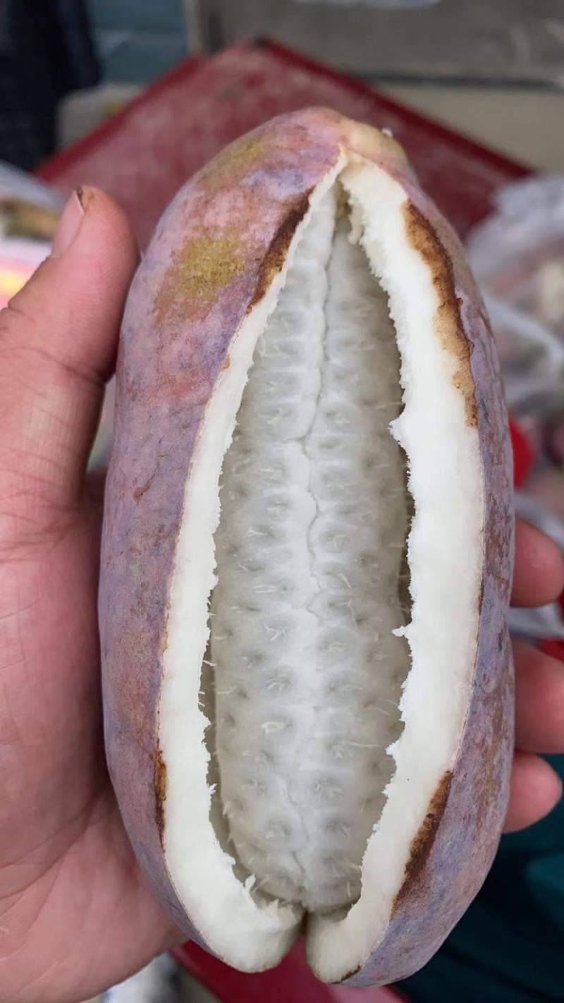 八月瓜