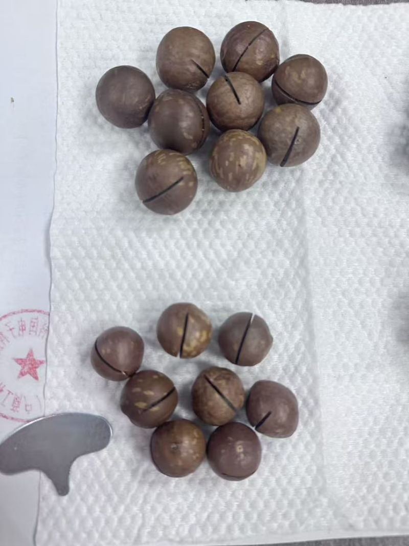 夏威夷果电商货一件代发有量你就来