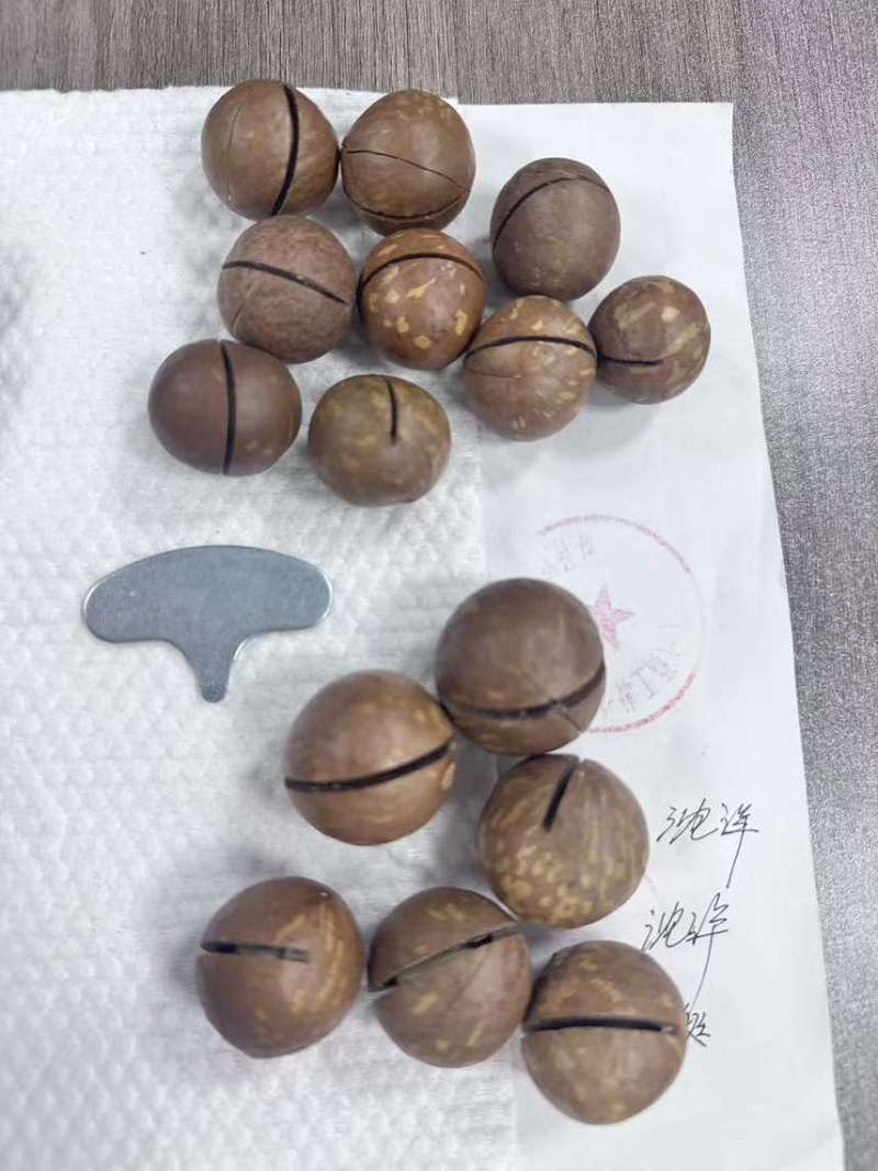 夏威夷果电商货一件代发有量你就来