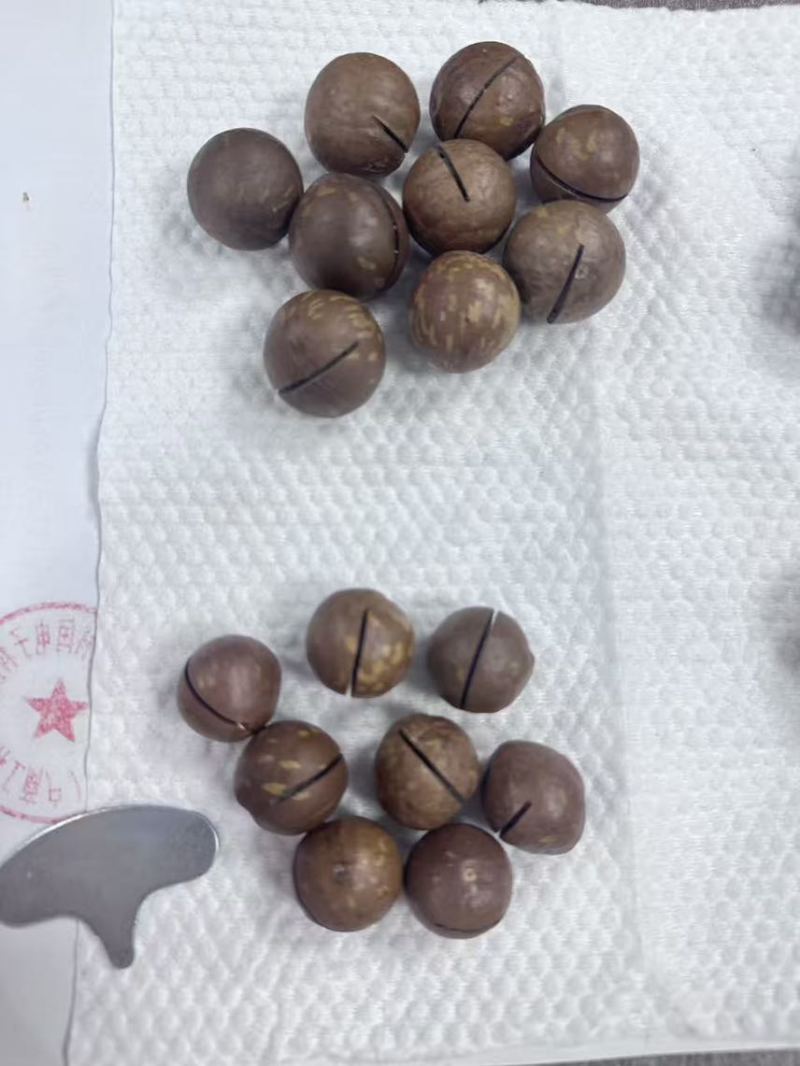 夏威夷果电商货一件代发有量你就来