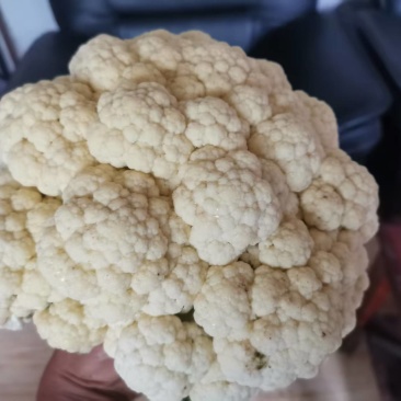菜花