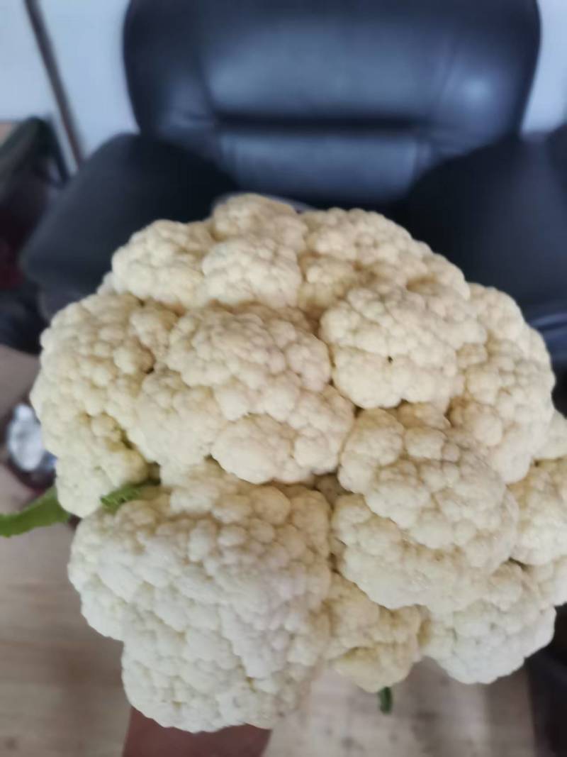 菜花