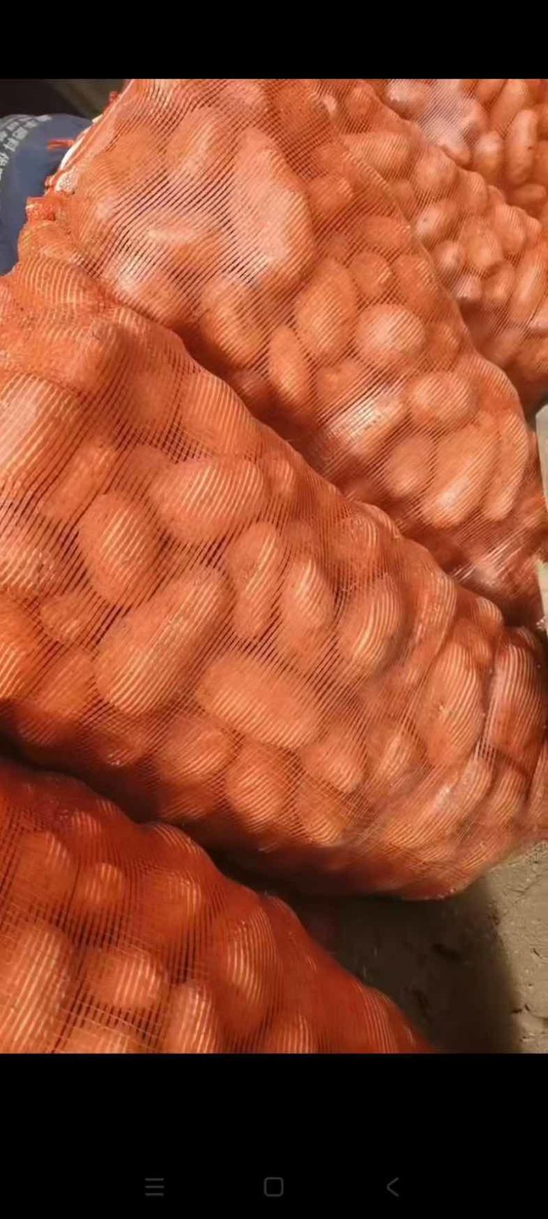 贵州黄心土豆