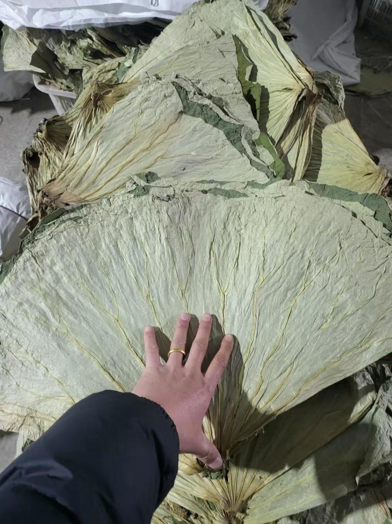 荷叶