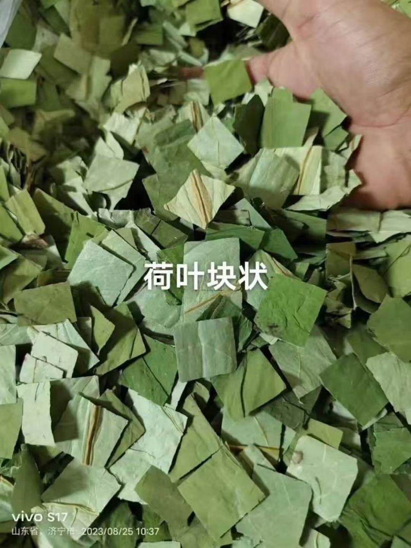 荷叶