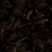 野生鸡枞菌