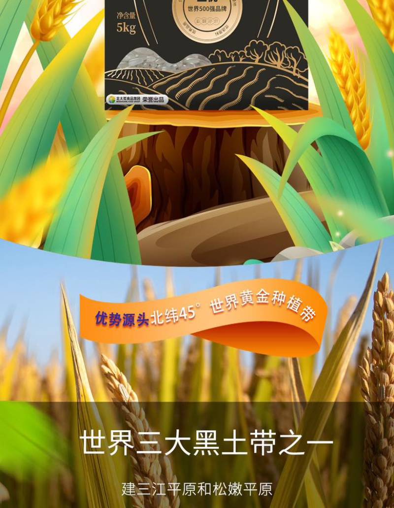 五常大米原粮稻花香2号5kg当季新米五常大米批发