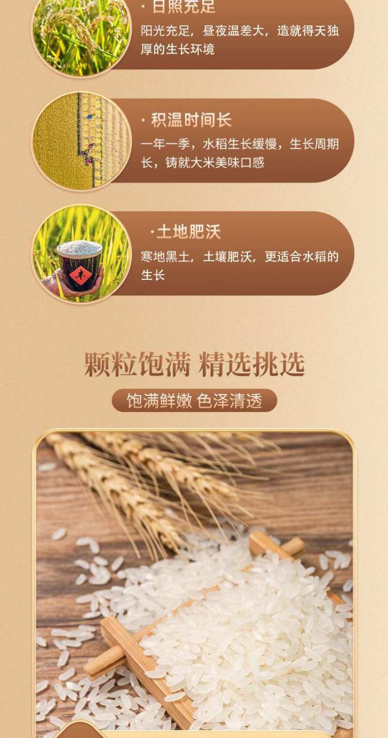 五常大米10斤福利装产地直发