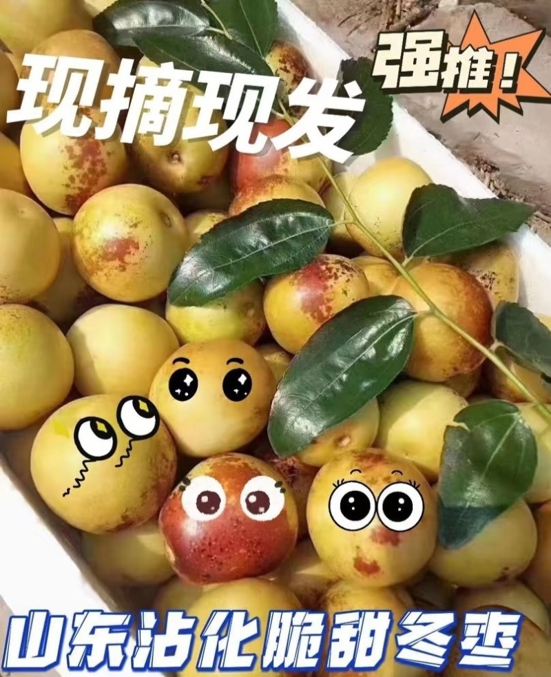 冬枣