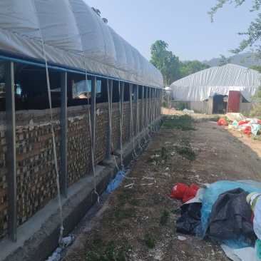 专业搭建各种养殖大棚，仓库棚鸡棚猪棚牛棚羊棚鸭