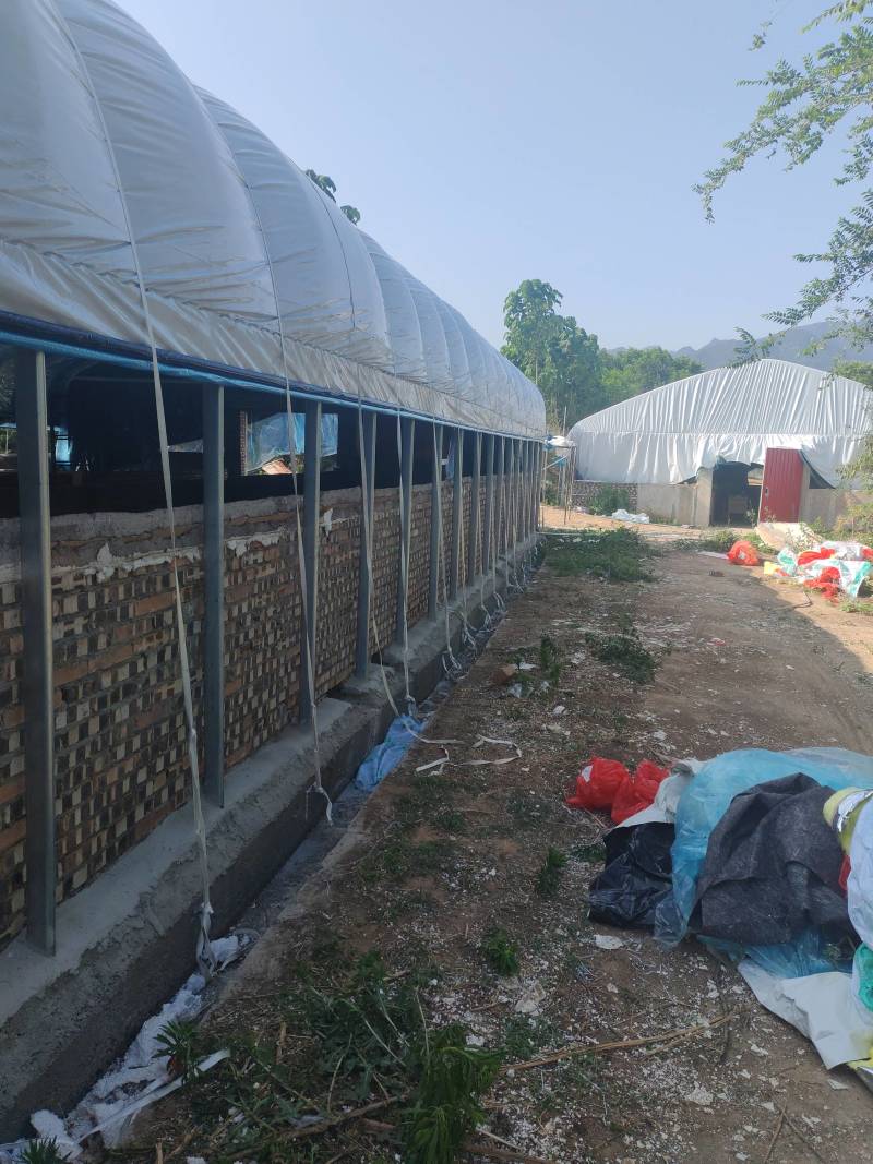专业搭建各种养殖大棚，仓库棚鸡棚猪棚牛棚羊棚鸭