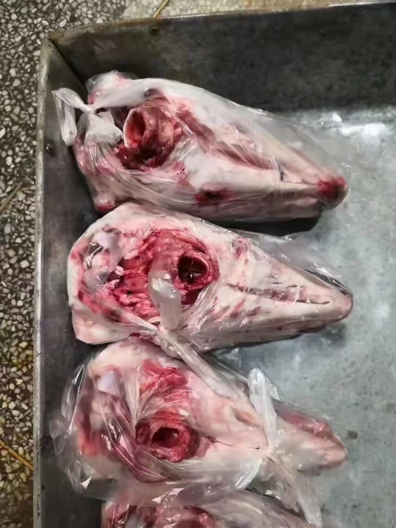 羊头实拍去皮羊头，带皮羊头都有现货