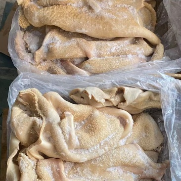 牛大肚现货