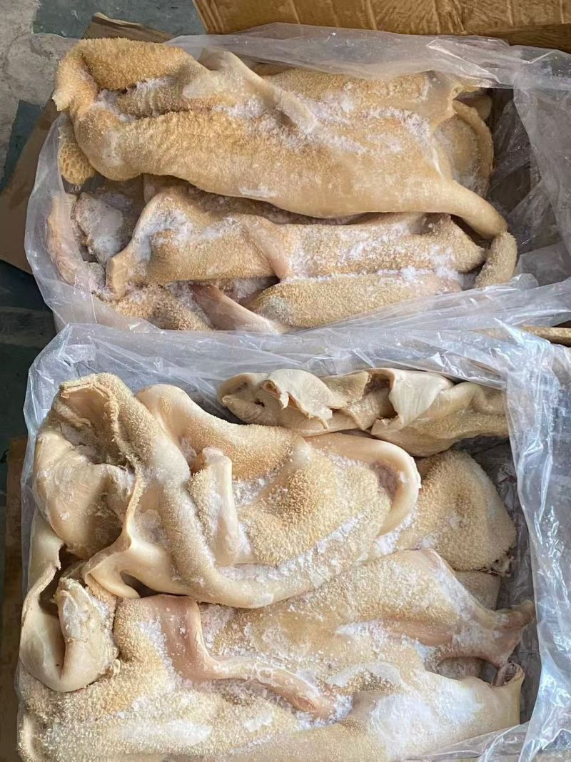 牛大肚现货