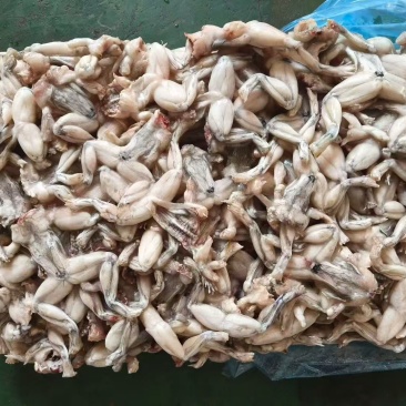 牛蛙厂家直供，品质有保障，板冻小蛙原料，7吨