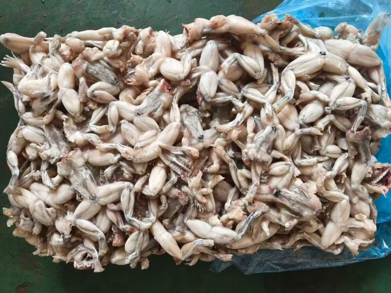 牛蛙厂家直供，品质有保障，板冻小蛙原料，7吨