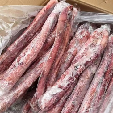 精修单根牛鞭