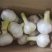 山东金乡鲜湿大蒜头扒皮去泥