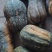 小金瓜
