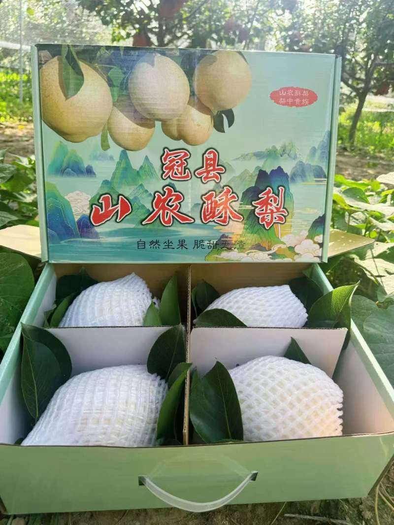 山农酥梨