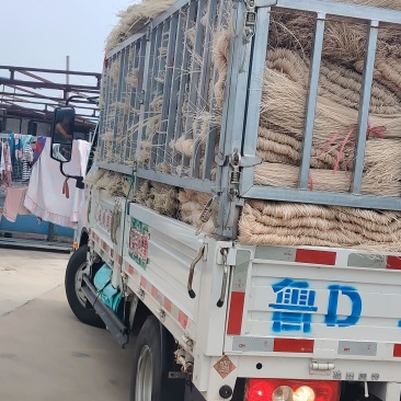 大量批发粉条