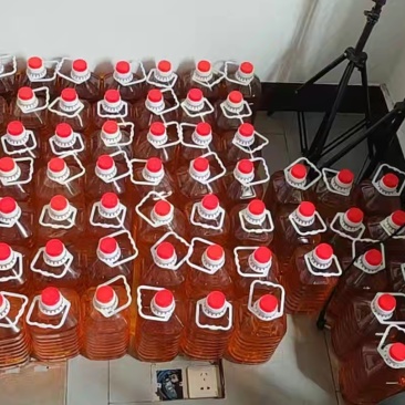 湖南炎陵山茶油
