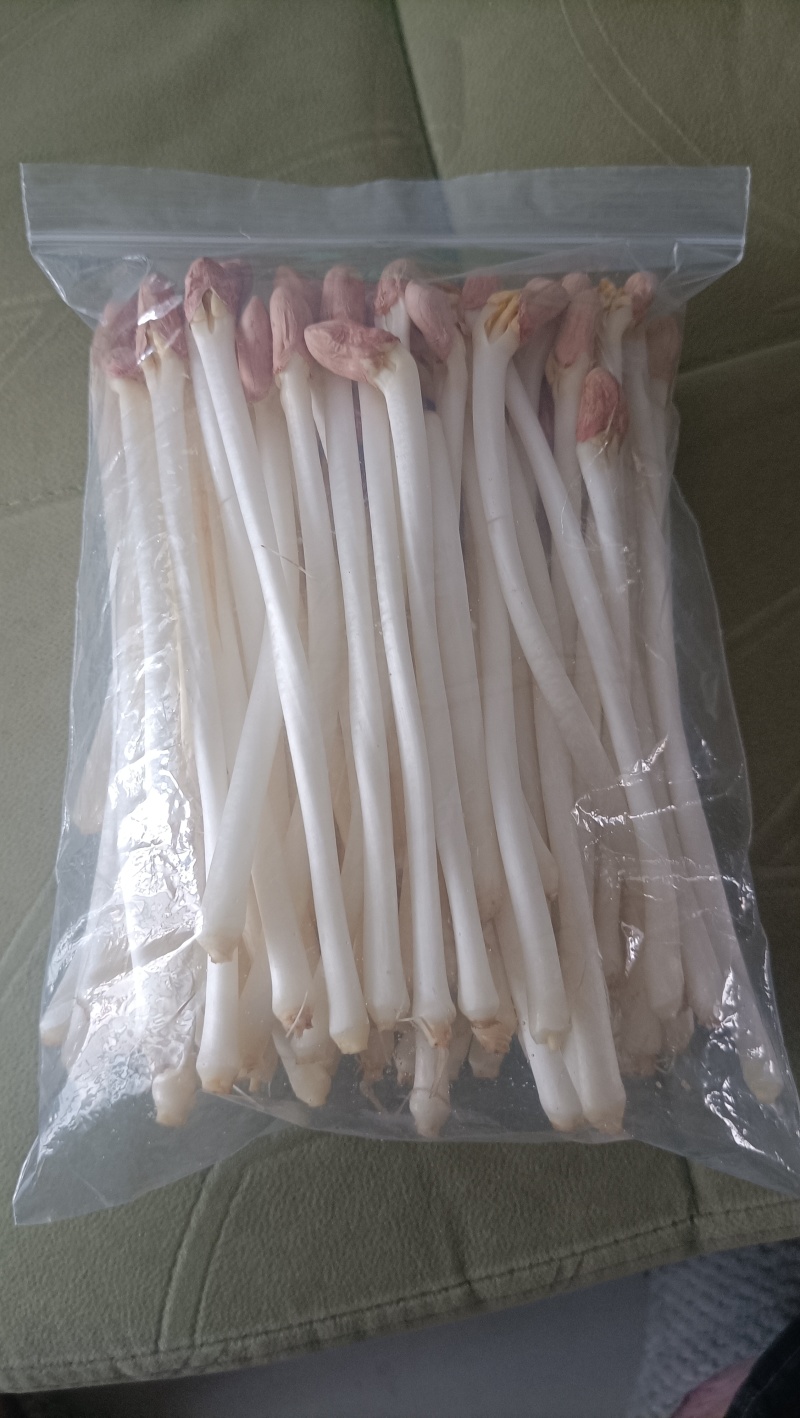江苏宿迁市花生芽