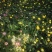 150盆九月菊，菊花，大菊花，6个颜色。冠幅大