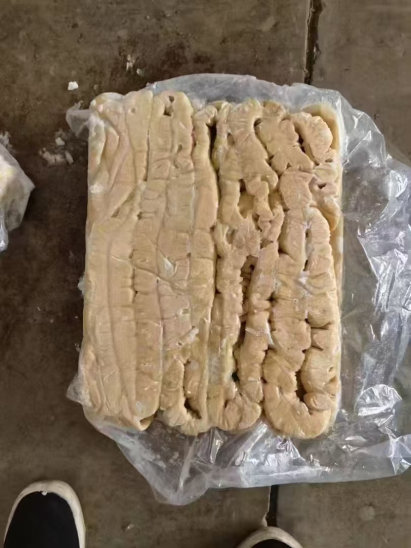 纯干大肠