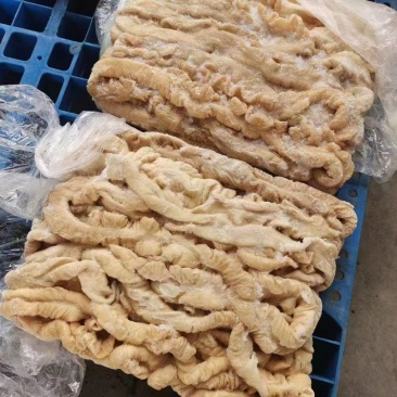 纯干大肠