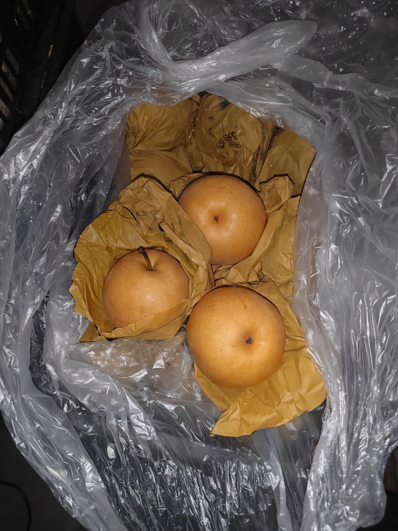 0.6斤以上圆黄梨，皇冠梨