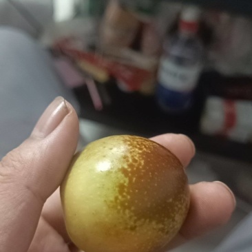 大荔冬枣