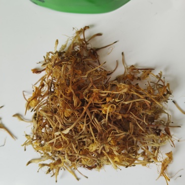 金银花