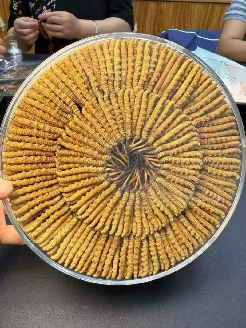 中秋将至，客户福利，超值摆盘礼盒装，包邮800元/100根