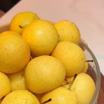 香水梨