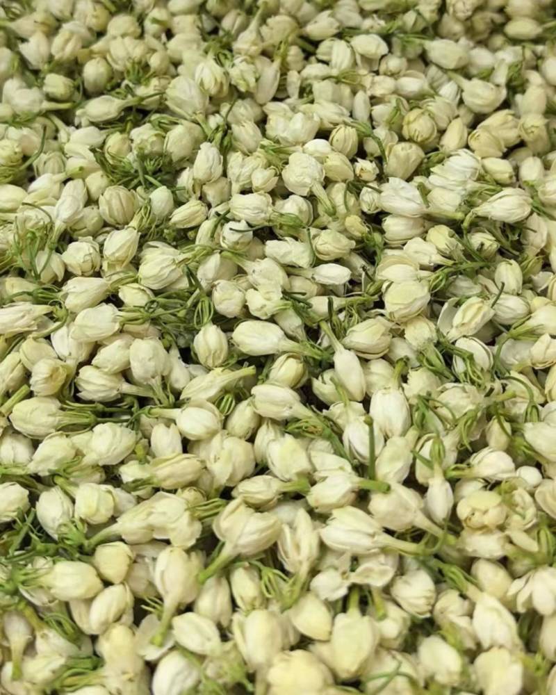 横县原产地茉莉花蕾干
