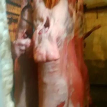 羊肉