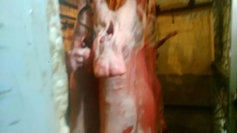 羊肉
