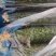 常年代收黄瓜茄子花菜白菜莴苣长豆角西芹