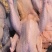 清真鲜鸡肉