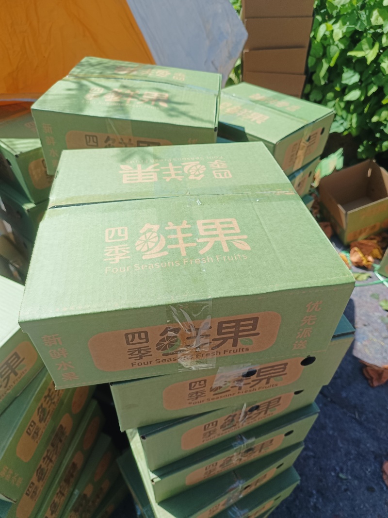 秋月梨电商一件代发