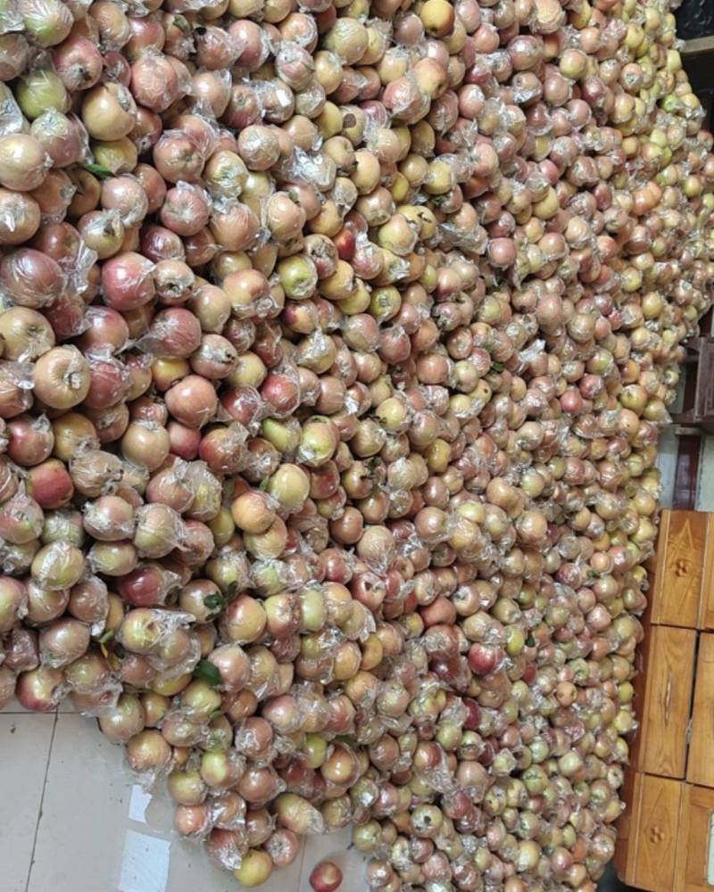 山东红香蕉苹果