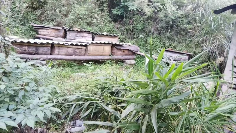 纯正蜂蜜
